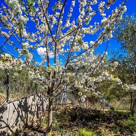 Catalunya Casas Modern Hilltop Haven With Private Pool 7km To * Castellet